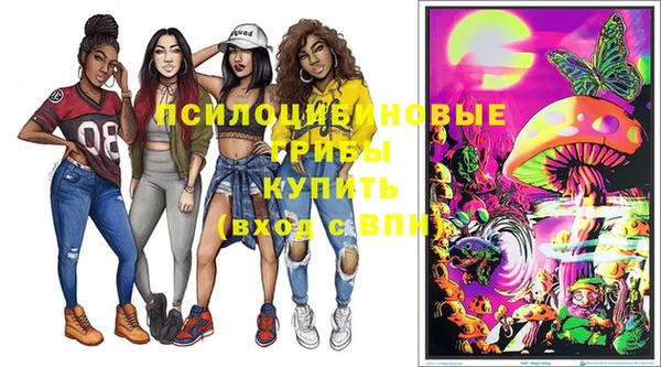 бошки Армянск