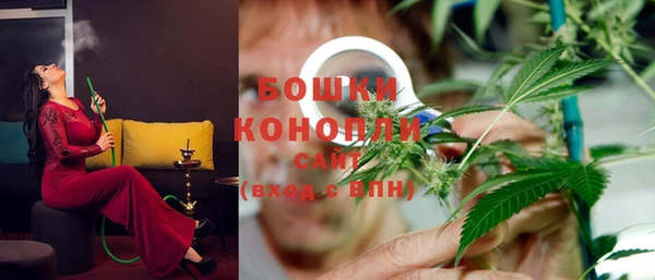 гидра Аркадак
