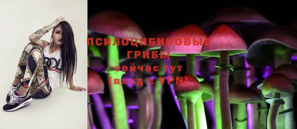 ГАЛЛЮЦИНОГЕННЫЕ ГРИБЫ Балабаново