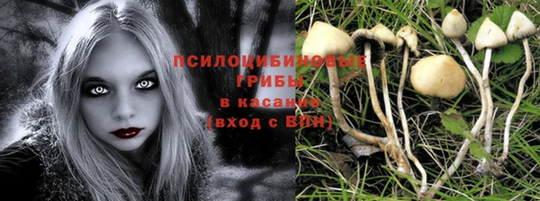 бошки Армянск