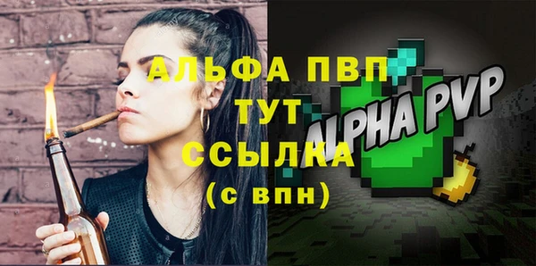 индика Баксан