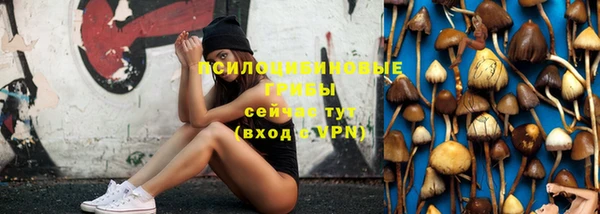 бошки Балахна