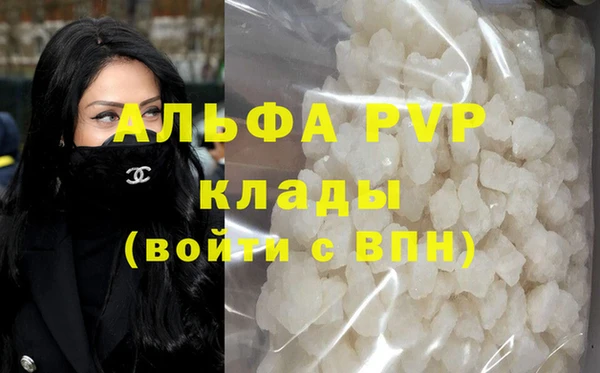 гидра Аркадак